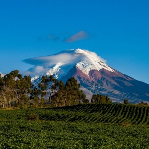 Paisaje Andino