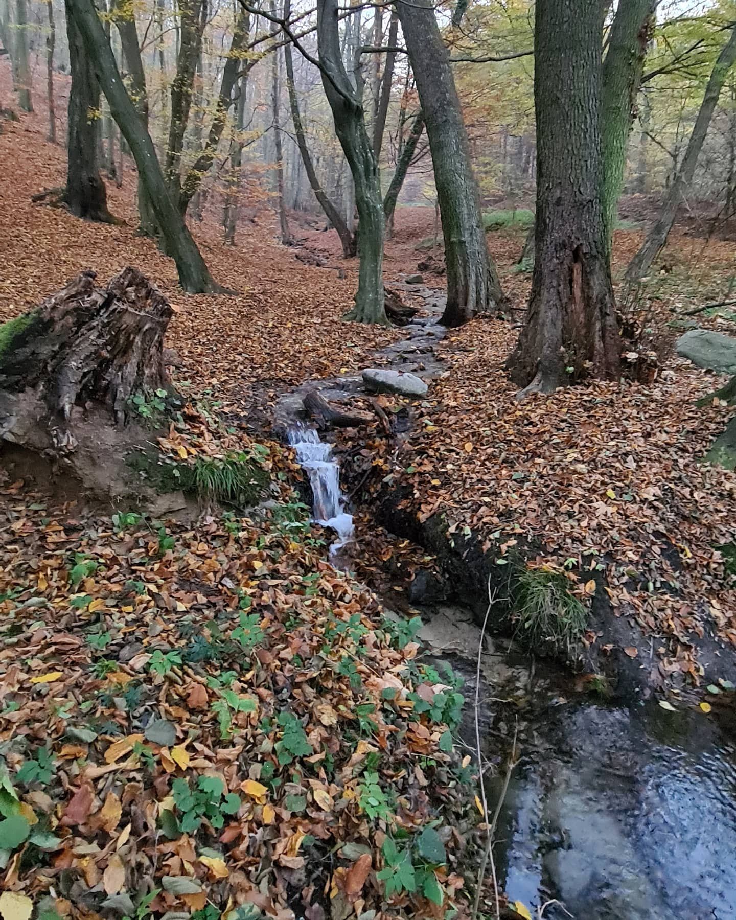 inbound5131052214491833575