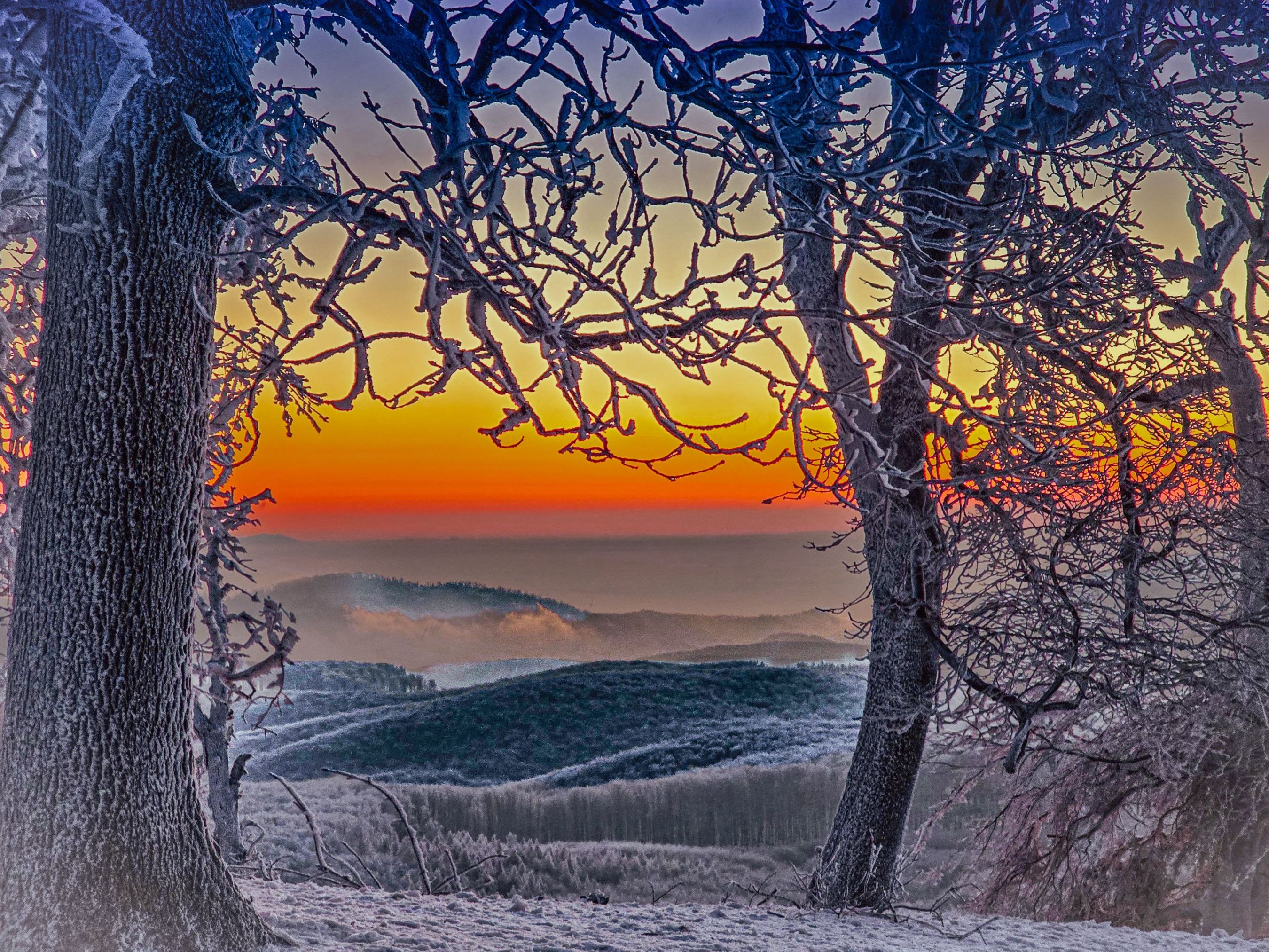 inbound7785388490353609947