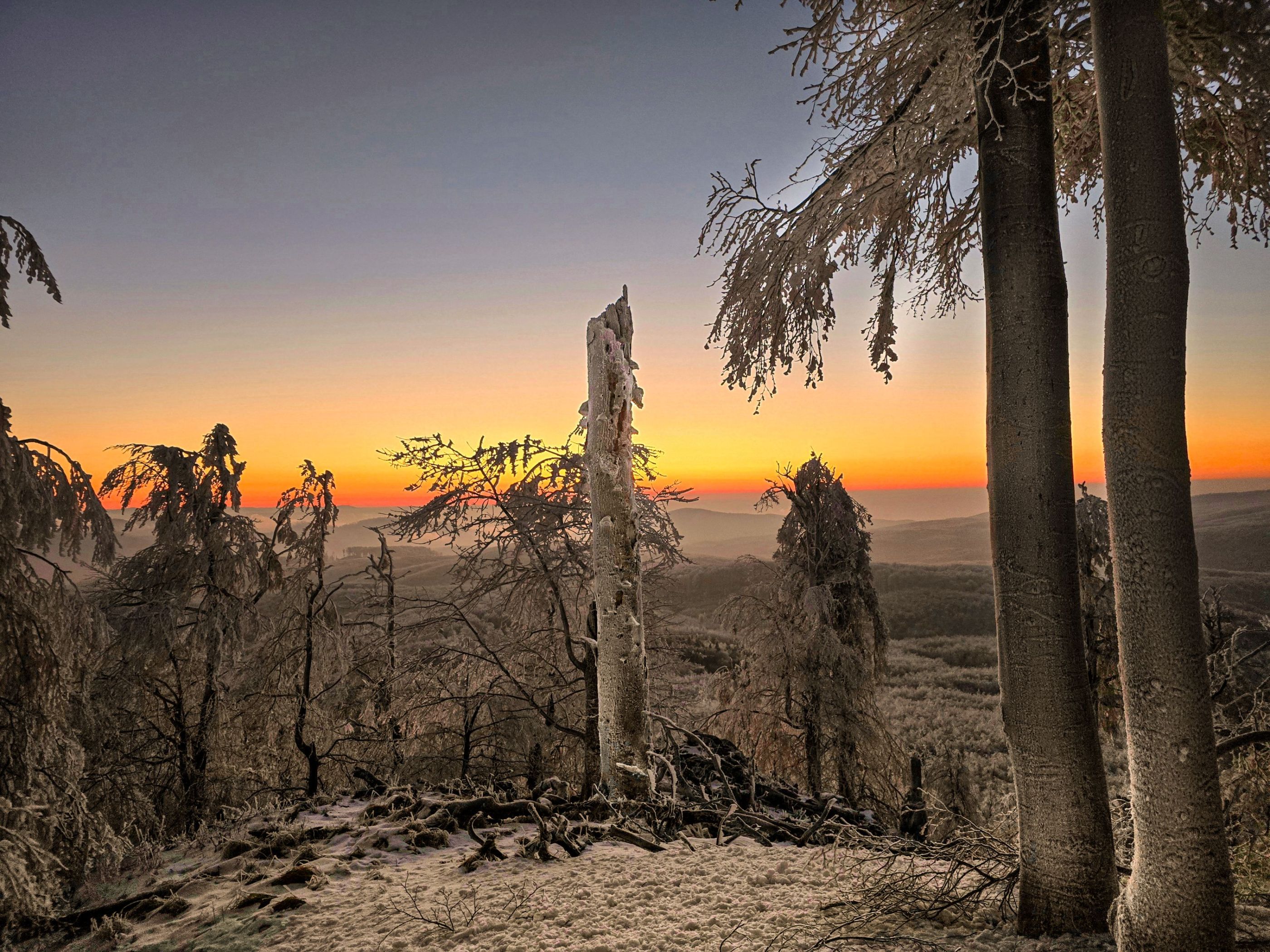 inbound1182589814748387247