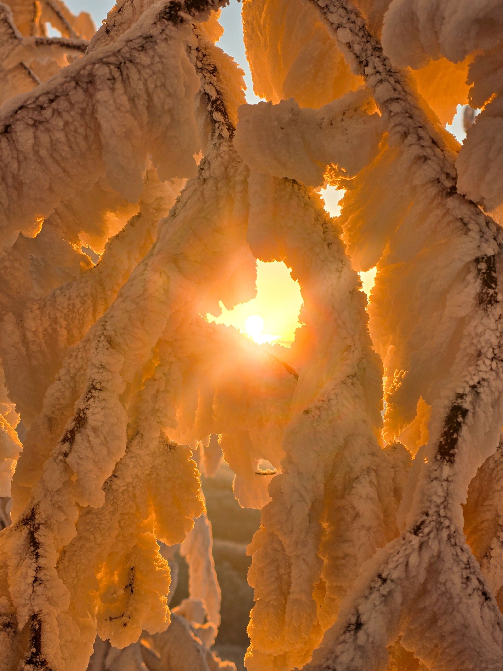 inbound743507256449024196