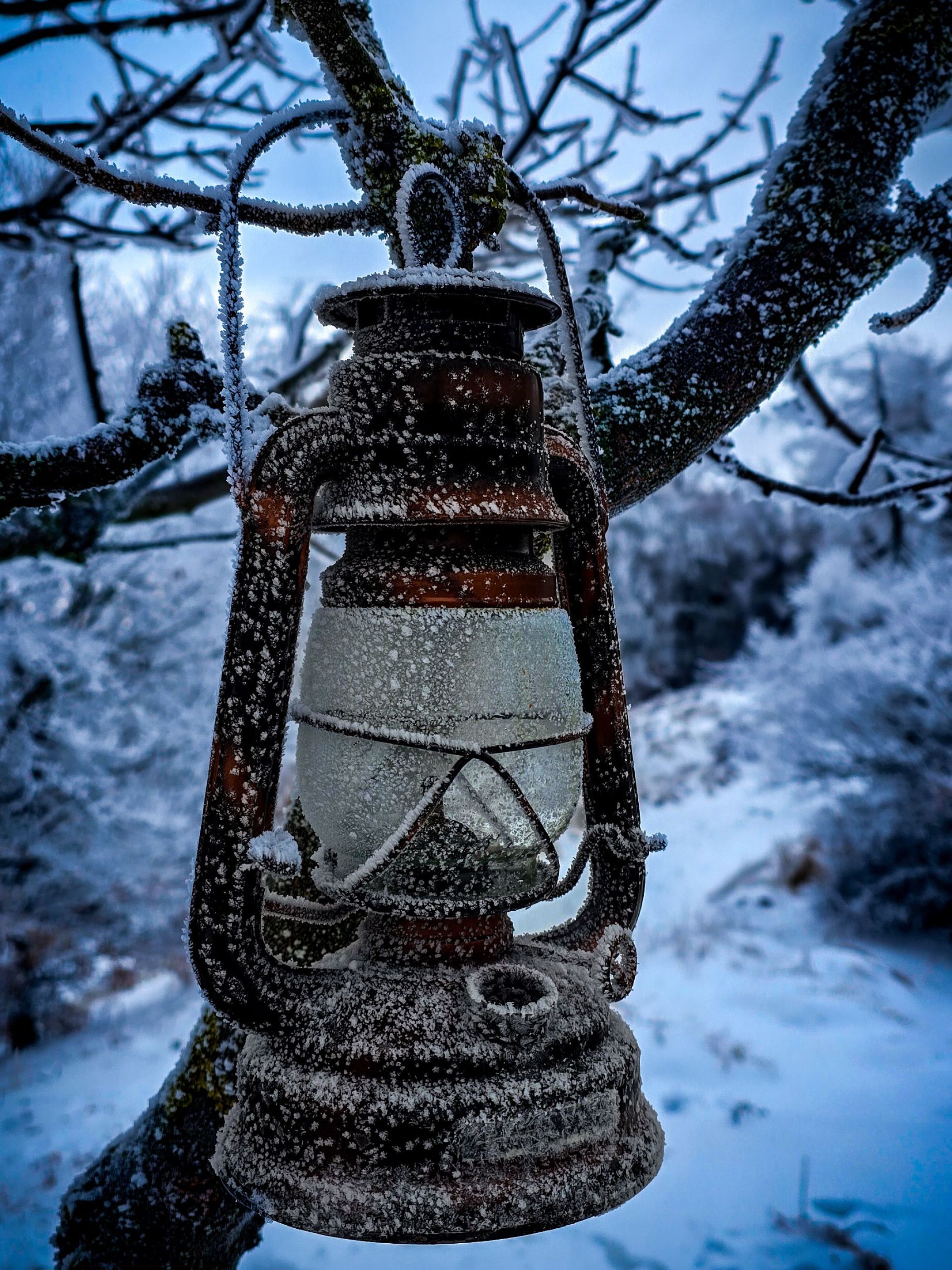 inbound4372168738339089235