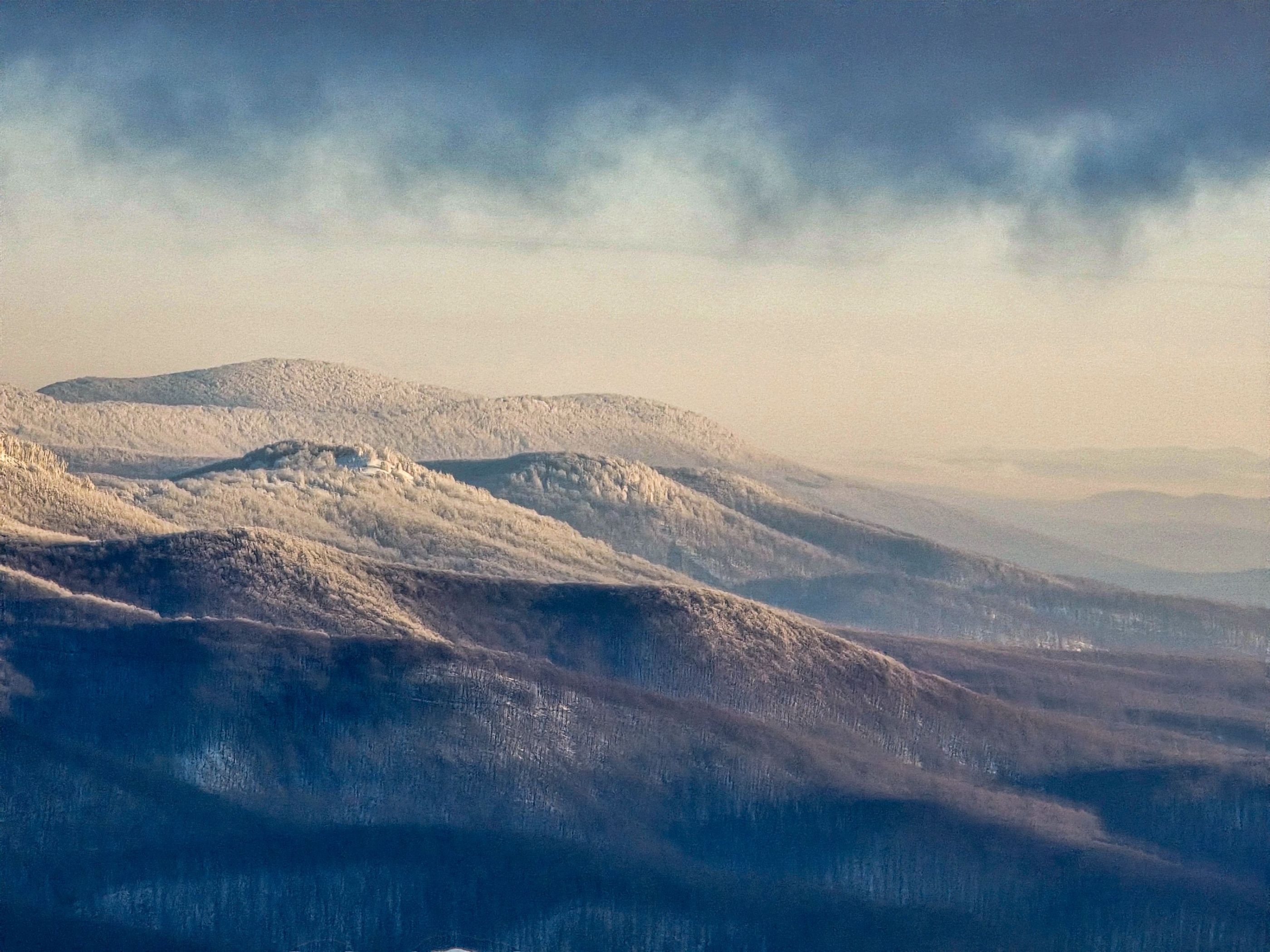 inbound6297437889807515271