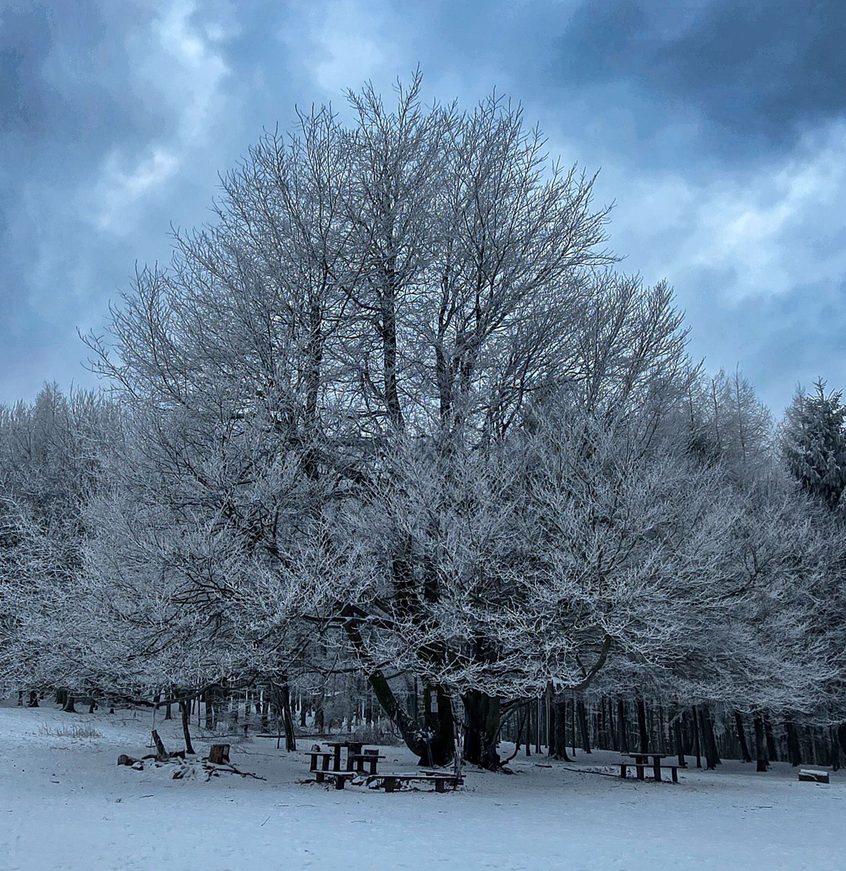 inbound8401979683263387305