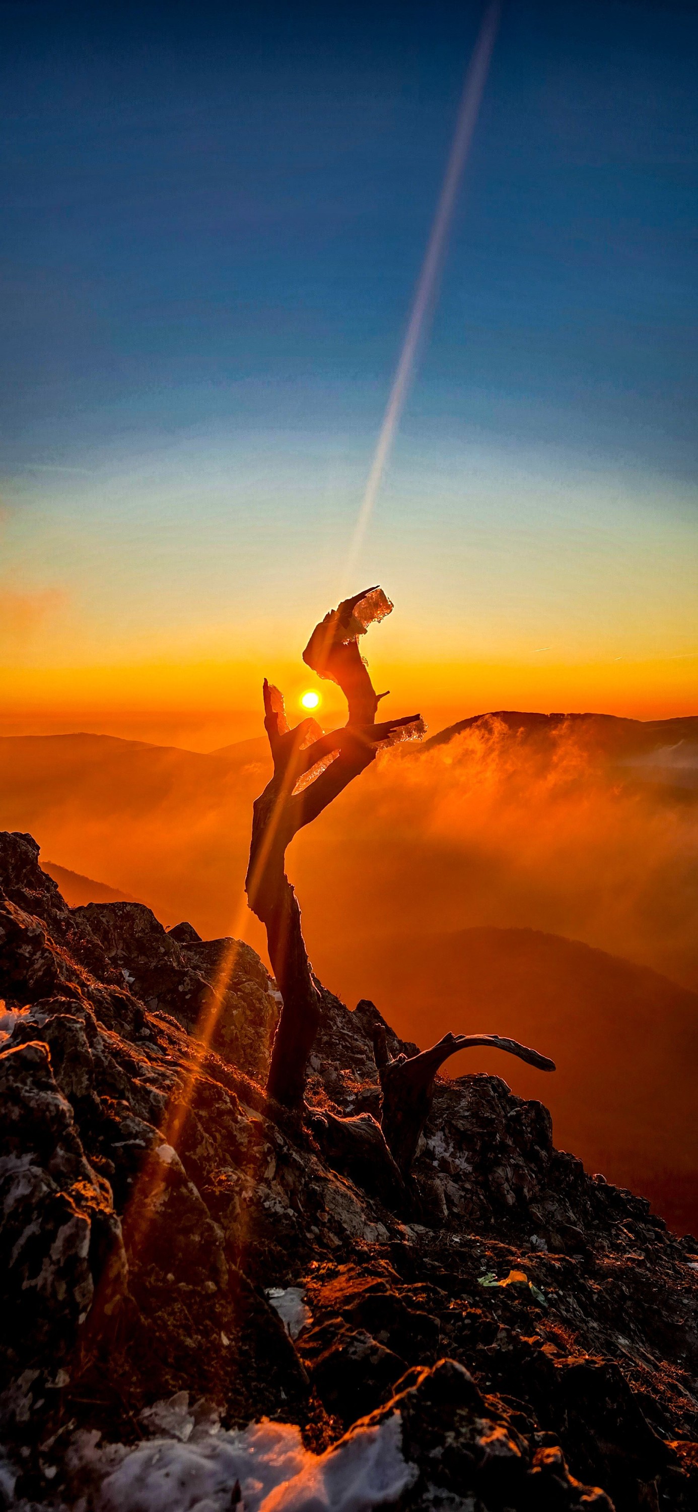 inbound7141637921166594387