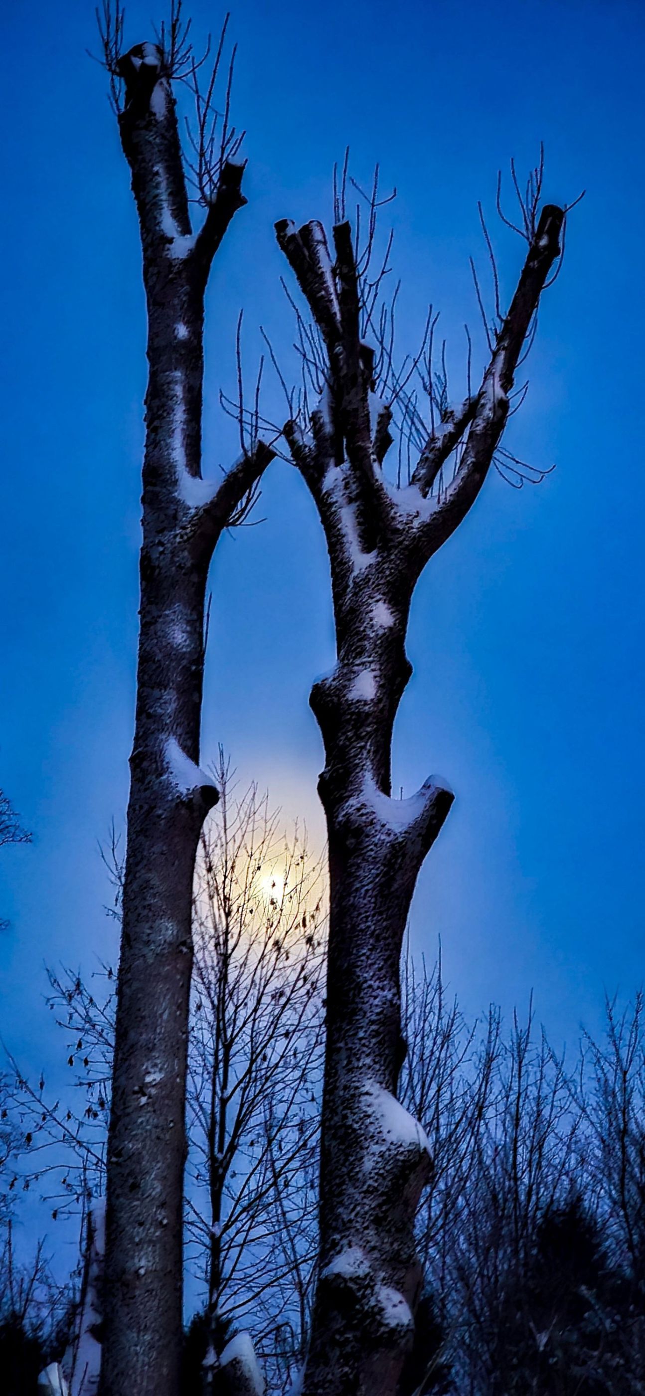 inbound787013913563143800