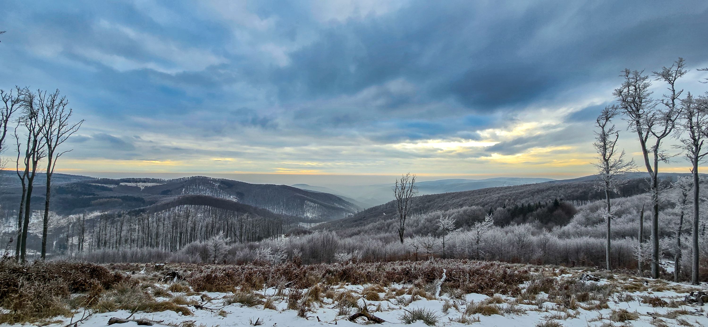 inbound5800724923316491343