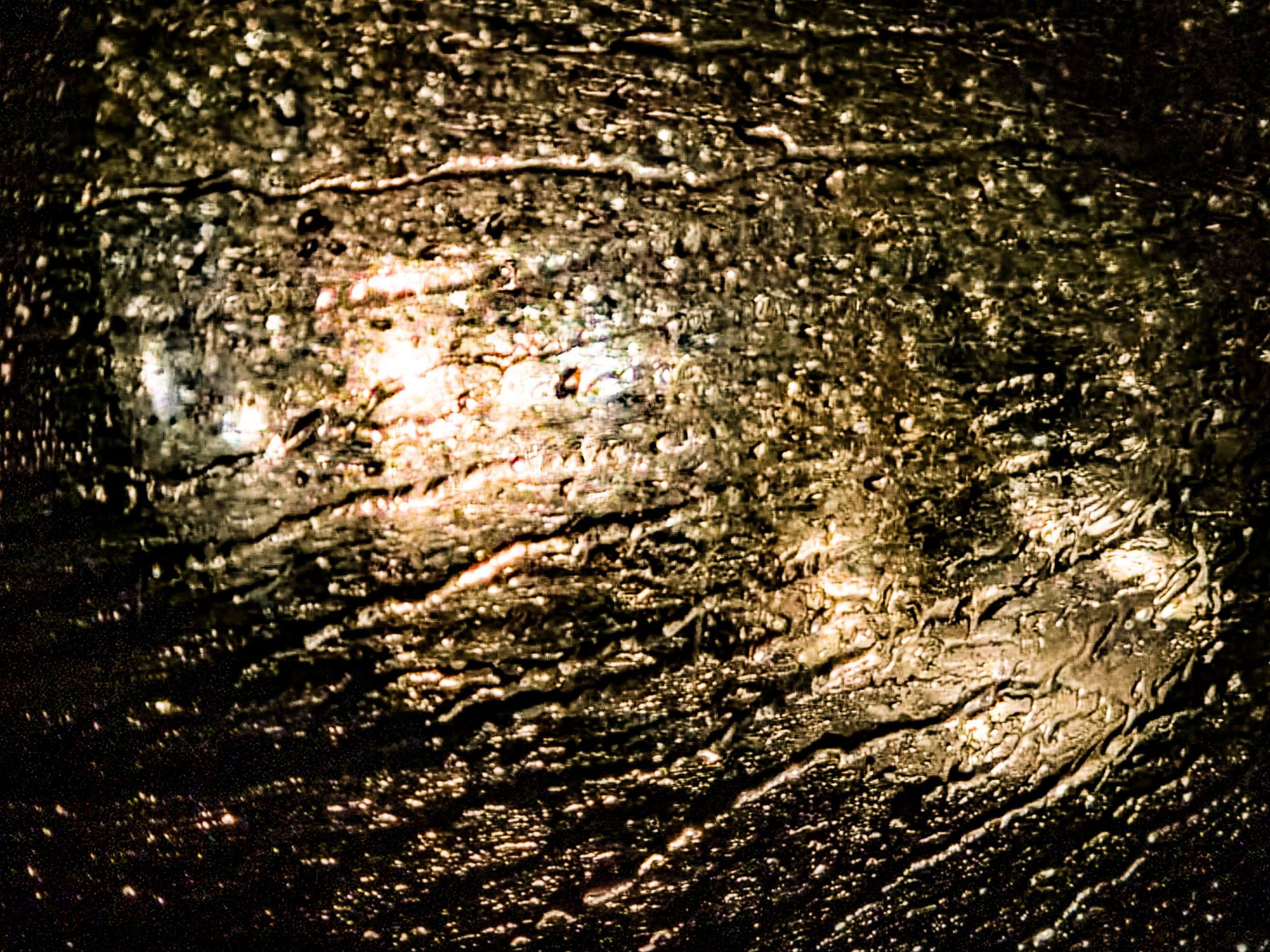 inbound2594479011021769377