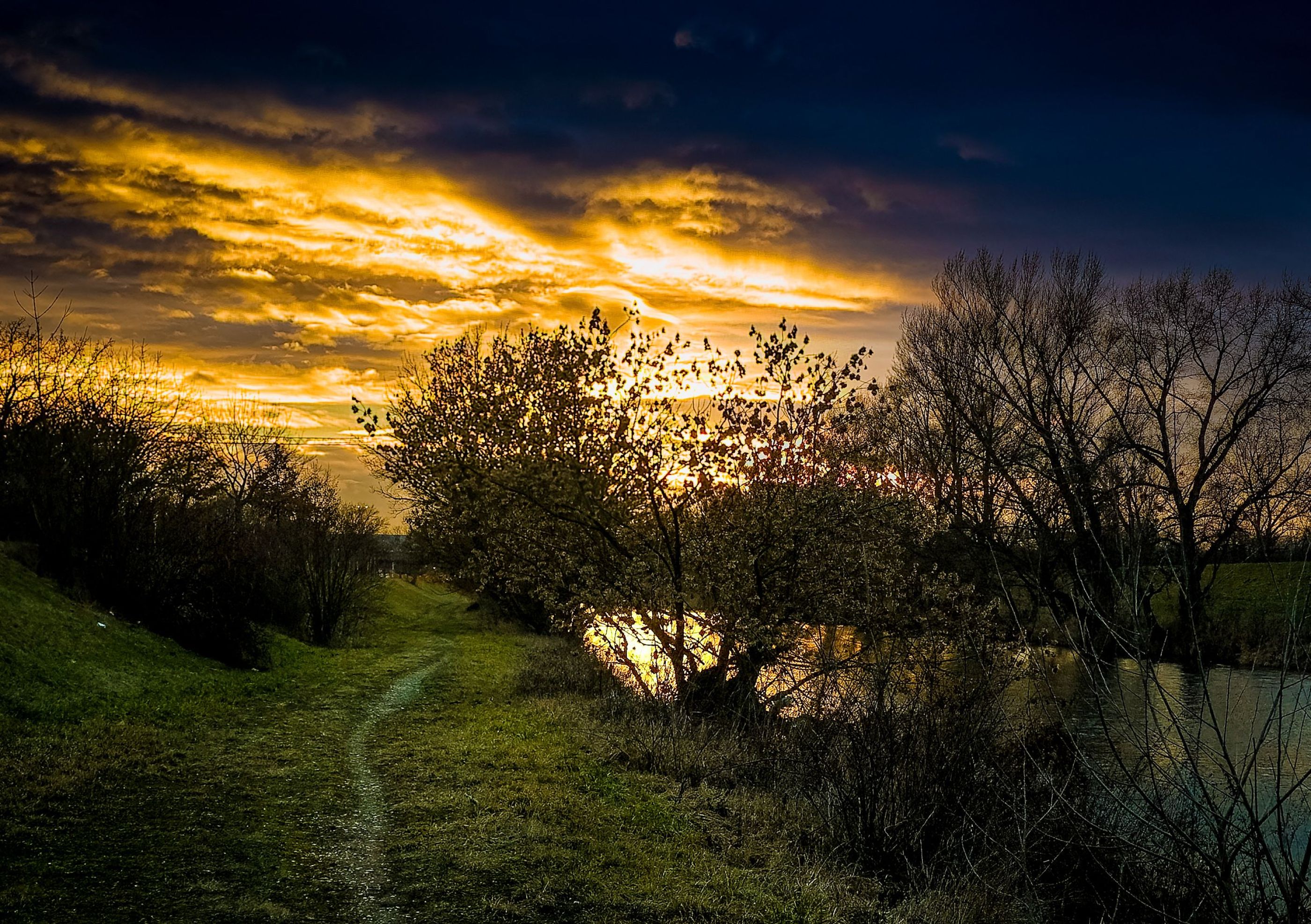 inbound2098705786347824618