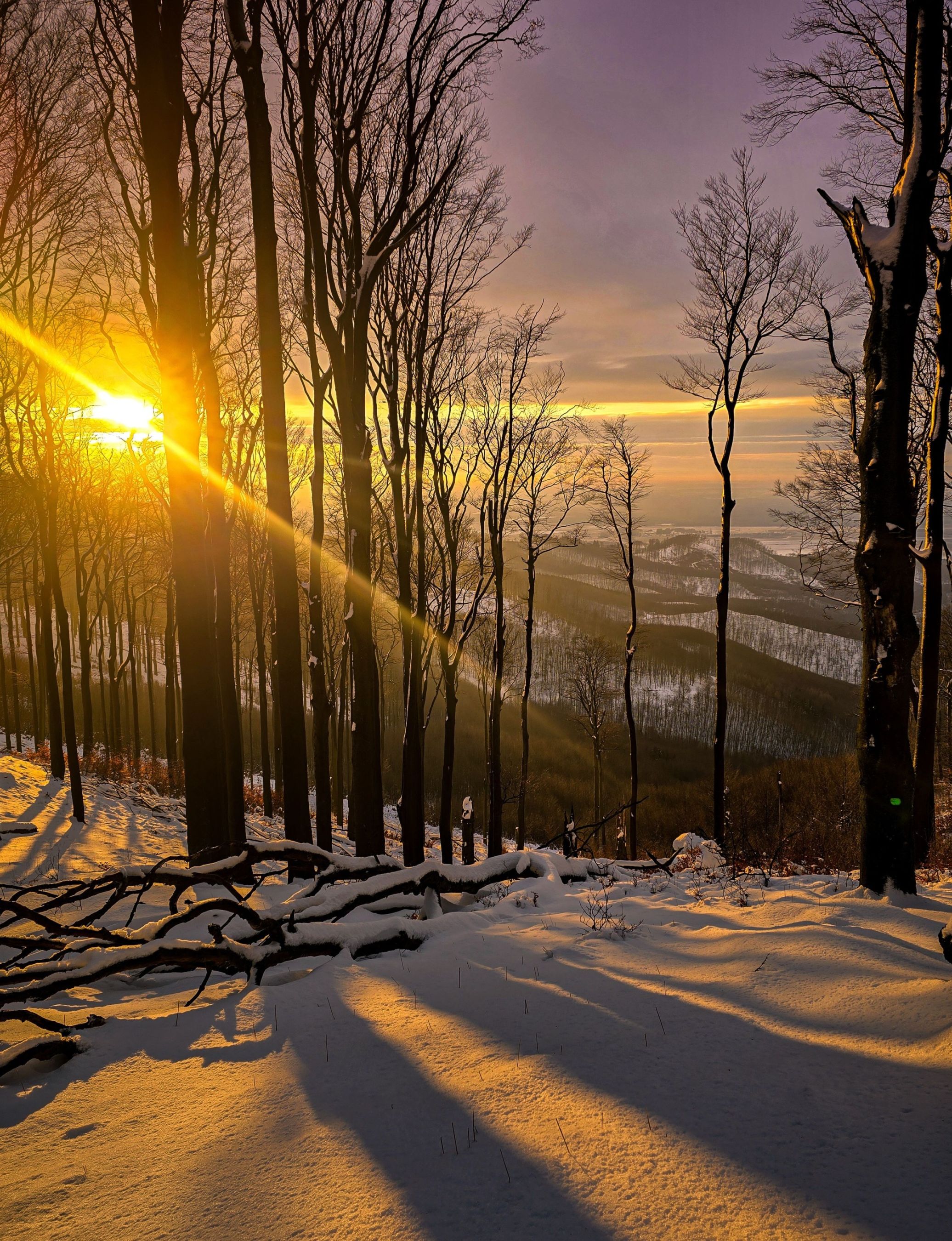 inbound3027697987212804908