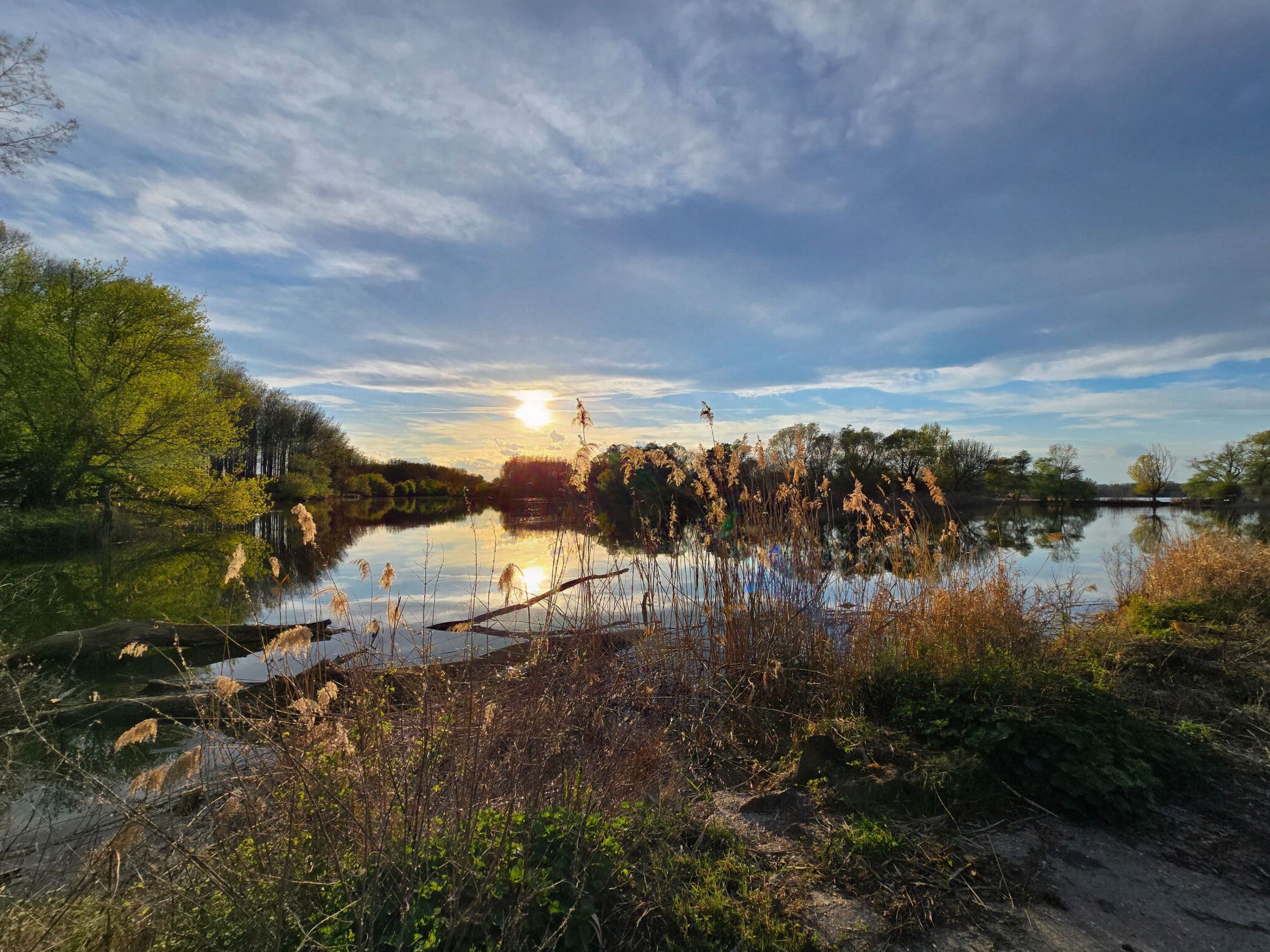 inbound5057239755171870275