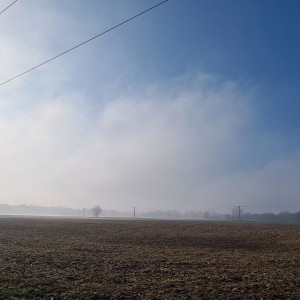 inbound8482092738076102351