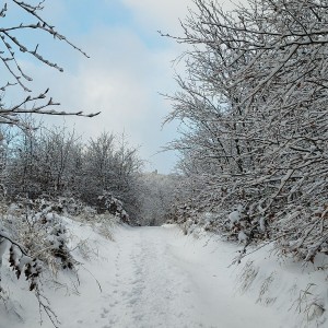 inbound2703921440836942473