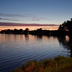 inbound7981081281896242104