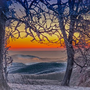 inbound7785388490353609947