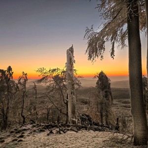 inbound1182589814748387247