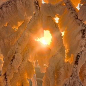 inbound743507256449024196