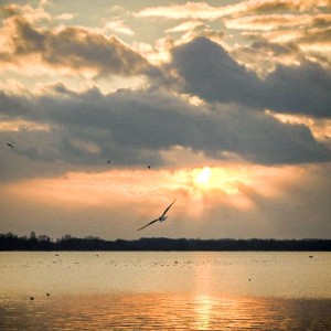 inbound5254572464883683520