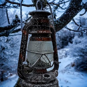 inbound4372168738339089235