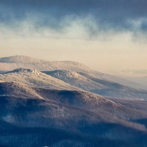 inbound6297437889807515271