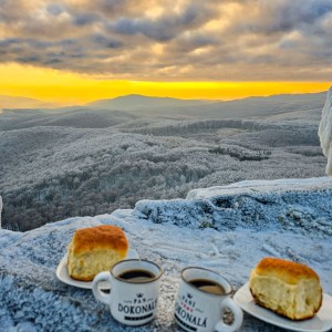 inbound5753170475055434904