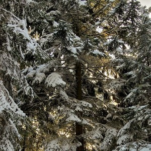 inbound1305893218141464644