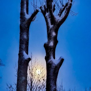 inbound787013913563143800