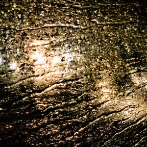 inbound2594479011021769377