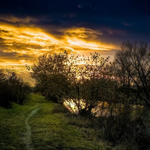 inbound2098705786347824618