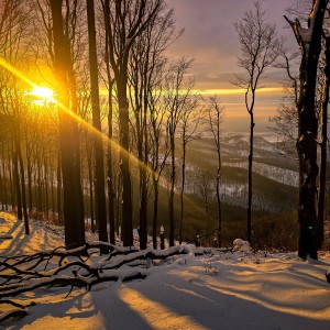 inbound3027697987212804908