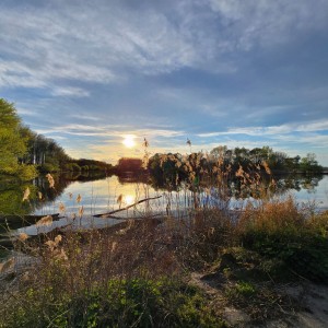 inbound5057239755171870275