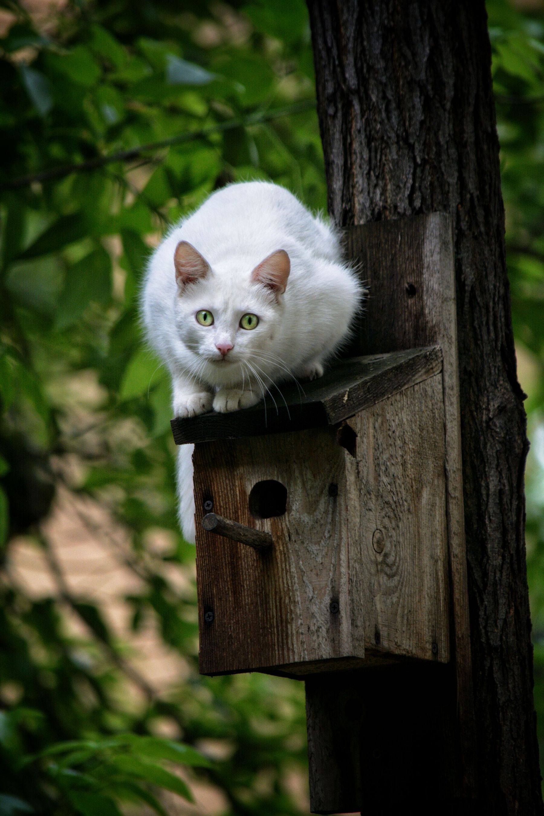 DSC_0750-01