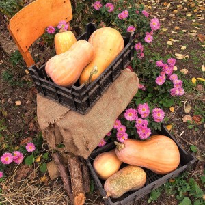 IMG_20200902_141015_535