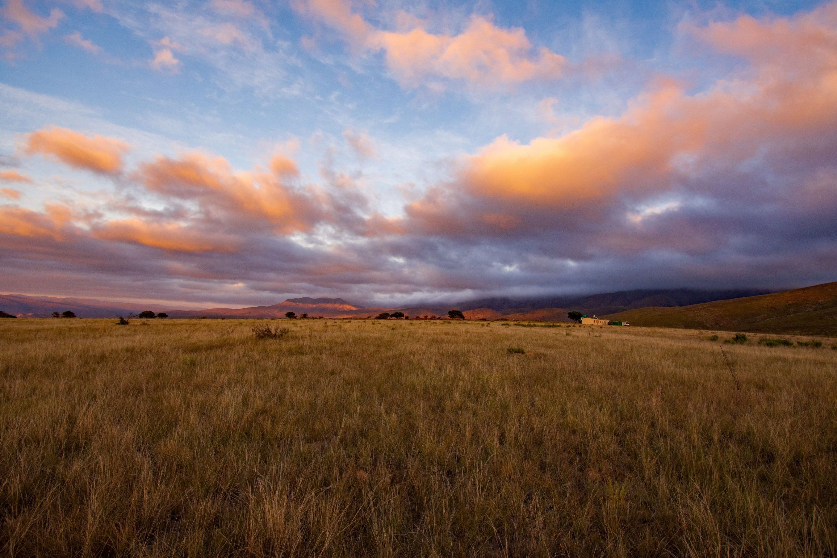 IMG_20201006_194342_961