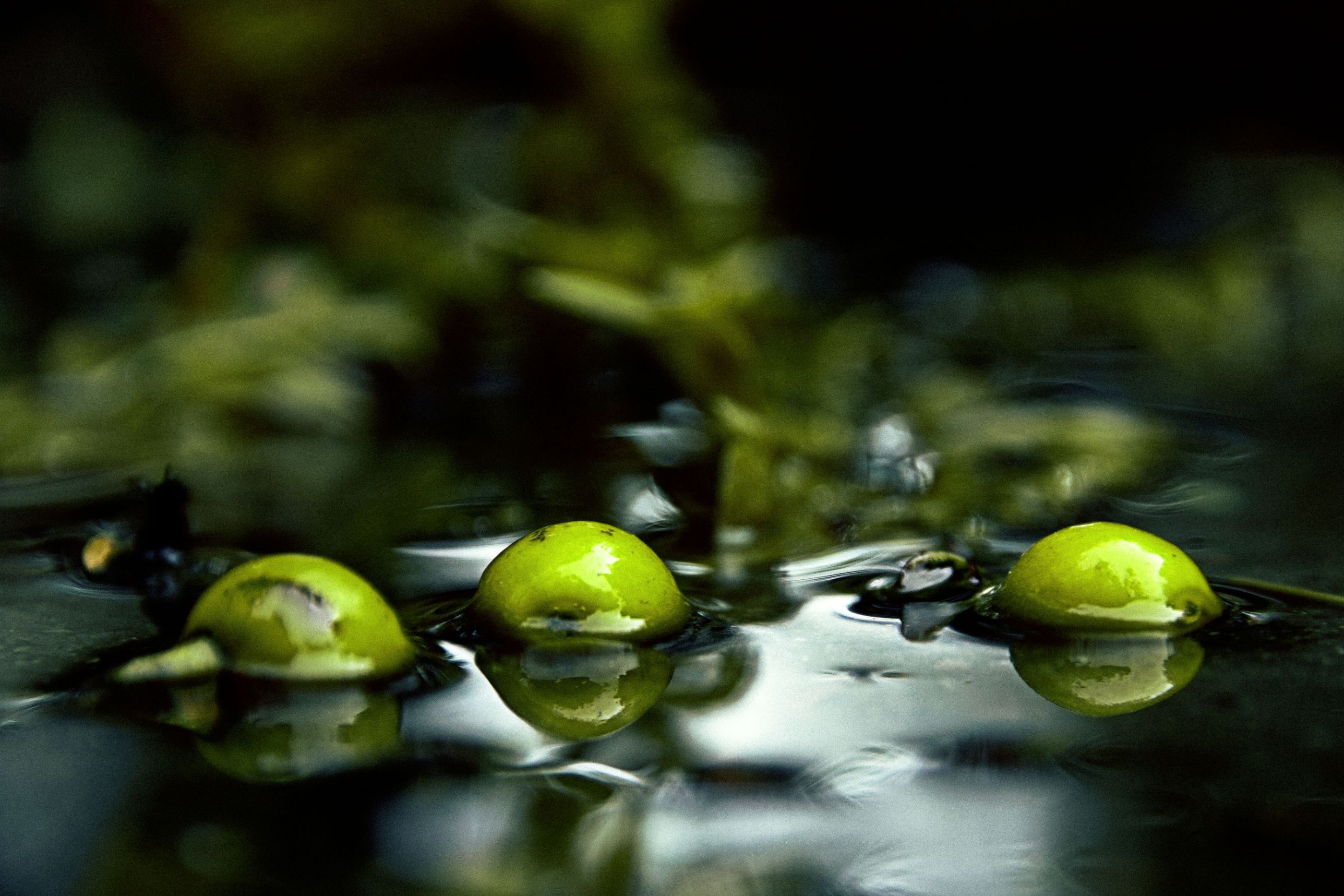 inbound5807800401368494792