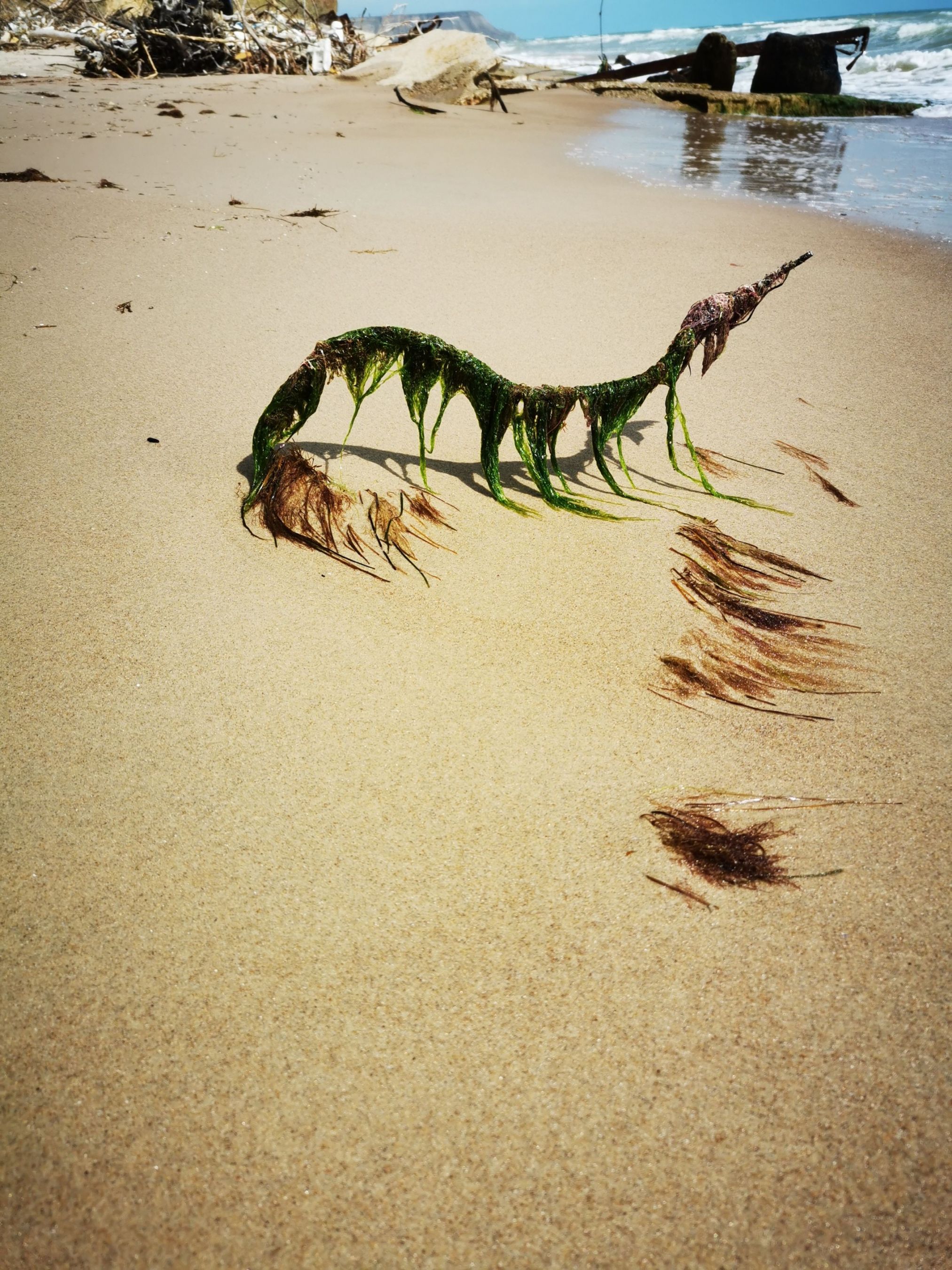 inbound1509557639119663143