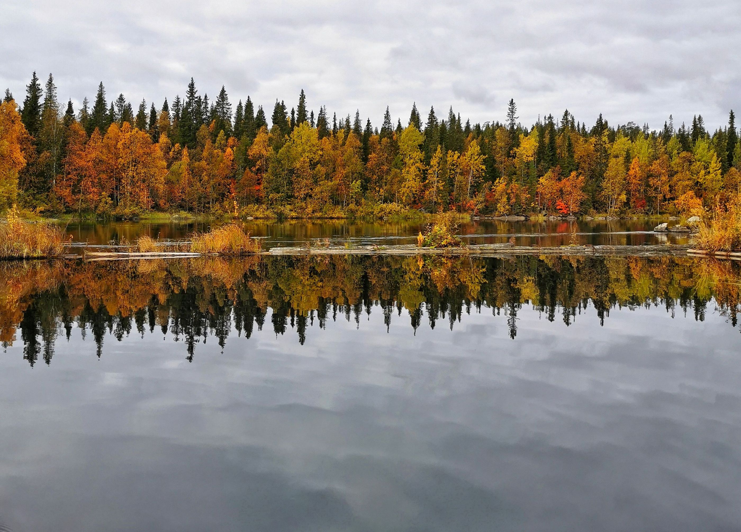 inbound8390570503501838368