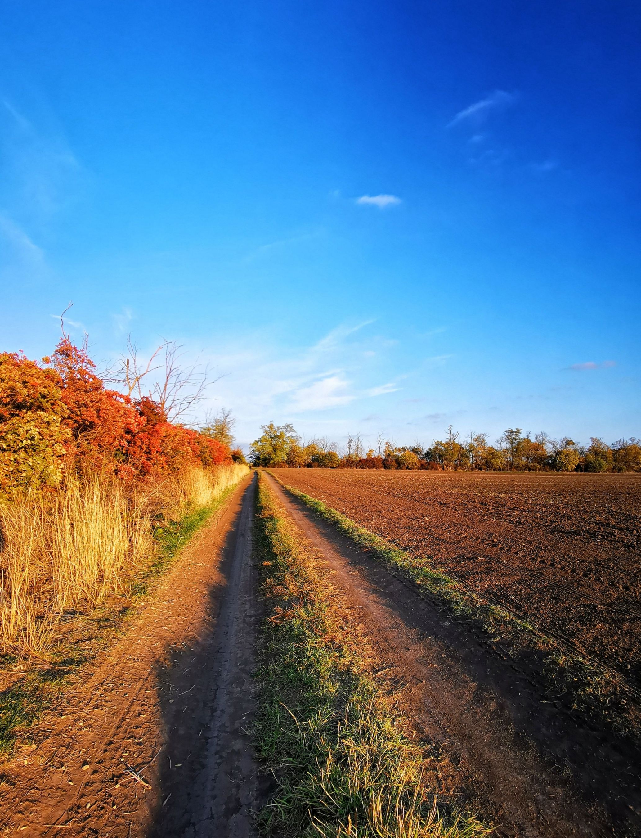 inbound7437034871203642211