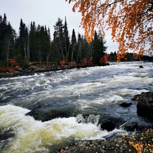 inbound1798534349524120481