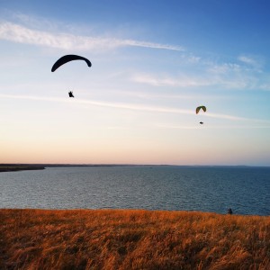 inbound4145388404909755005