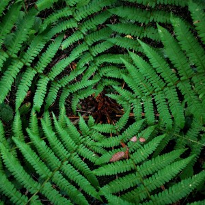 inbound1577494770658272469