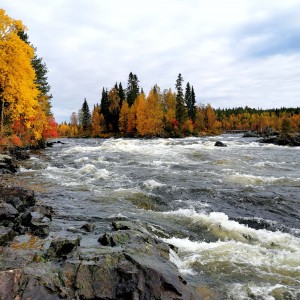 inbound6919595791218970303