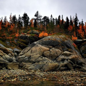 inbound7747876943962706123