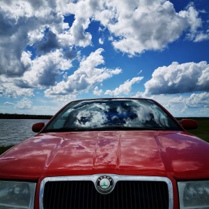 inbound3339646212199418939