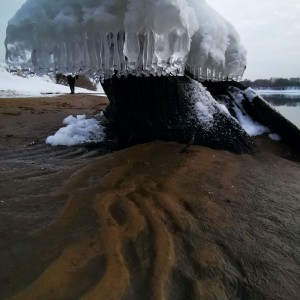 inbound8646910016427353303