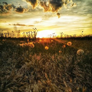 inbound4861377891274082156