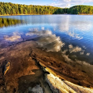 inbound1956240956189609538