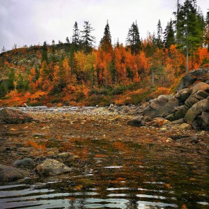 inbound8011022795896315513