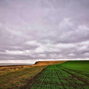 inbound7013750377341454345