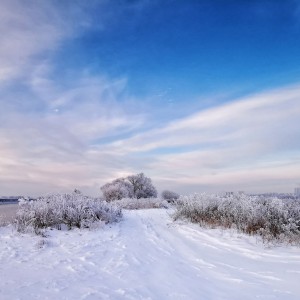 inbound7250463178075618030